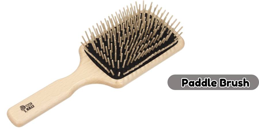 paddlebrush