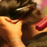 Best Bonnet Dryer for Natural Hair