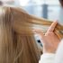 Best Hot Brush Styler for Short Hair