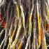 Best Bonnet Dryer for Natural Hair